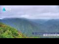 Webcam Zhangjiajie