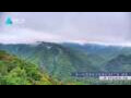 Webcam Zhangjiajie