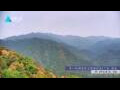 Webcam Zhangjiajie