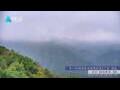 Webcam Zhangjiajie