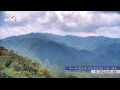 Webcam Zhangjiajie