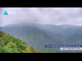 Webcam Zhangjiajie