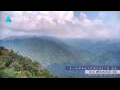 Webcam Zhangjiajie