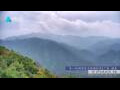 Webcam Zhangjiajie