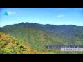 Webcam Zhangjiajie