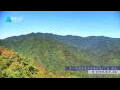 Webcam Zhangjiajie
