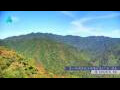 Webcam Zhangjiajie