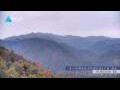 Webcam Zhangjiajie