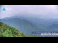 Webcam Zhangjiajie