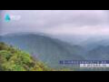 Webcam Zhangjiajie