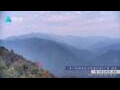Webcam Zhangjiajie