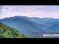 Webcam Zhangjiajie