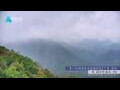 Webcam Zhangjiajie