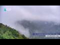Webcam Zhangjiajie