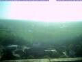 Webcam Angern an der marzo