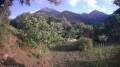 Webcam Kato Vlasia