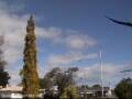 Webcam Wairoa