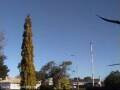 Webcam Wairoa
