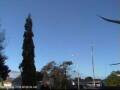 Webcam Wairoa