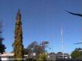 Webcam Wairoa