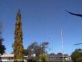 Webcam Wairoa