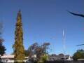 Webcam Wairoa