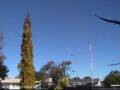 Webcam Wairoa
