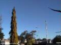 Webcam Wairoa