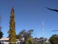 Webcam Wairoa