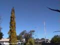 Webcam Wairoa