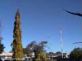 Webcam Wairoa