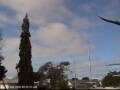 Webcam Wairoa