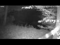 Webcam Averill Park, New York