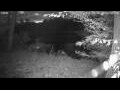 Webcam Averill Park, New York