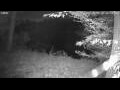 Webcam Averill Park, New York