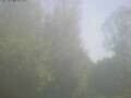 Webcam Ittigen