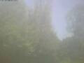 Webcam Ittigen