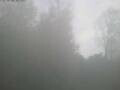 Webcam Ittigen