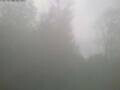 Webcam Ittigen