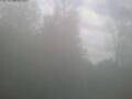 Webcam Ittigen