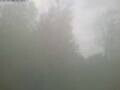 Webcam Ittigen