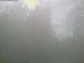 Webcam Ittigen