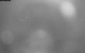 Webcam Waldkatzenbach