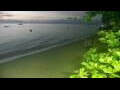 Webcam Negril