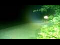 Webcam Negril