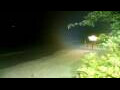 Webcam Negril