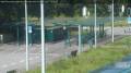 Webcam Heerde