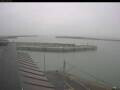 Webcam Hirtshals