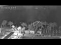 Webcam Marmaris