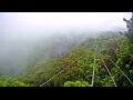 Webcam Kuranda